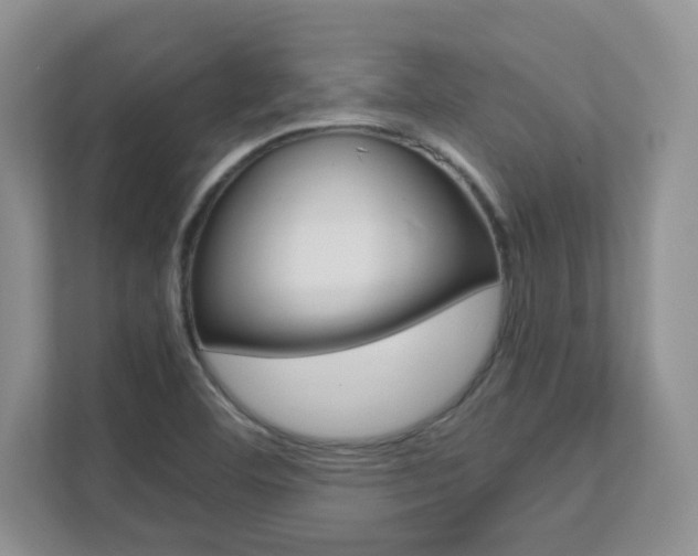 X0000111681460200907171455