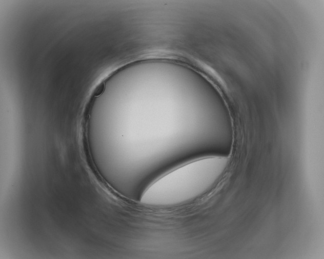 X0000111681463200907171454