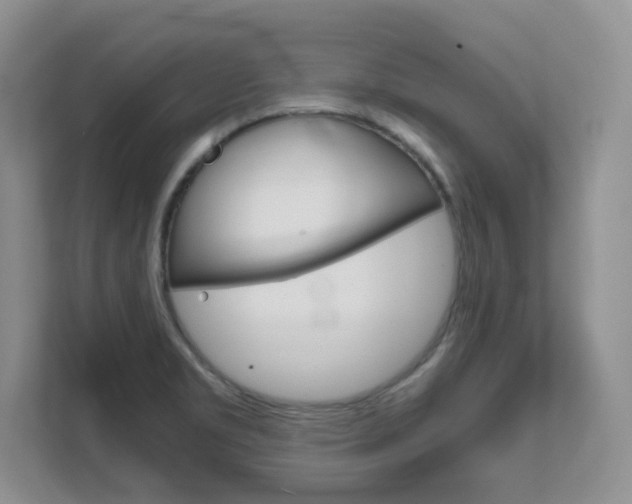 X0000111681469200907171454