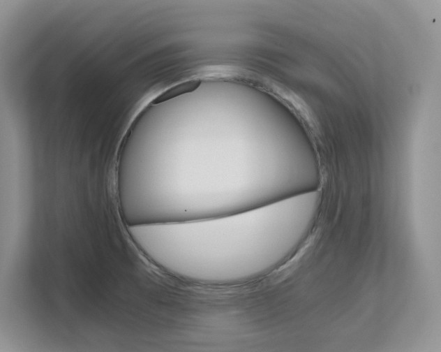 X0000111681473200907171454