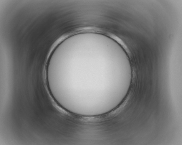 X0000111681474200907171454