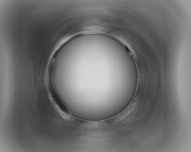 X0000111681485200907171454