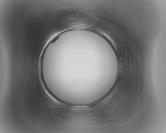 X0000111681487200907171454