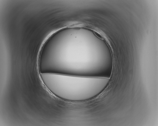 X0000111681488200907171454