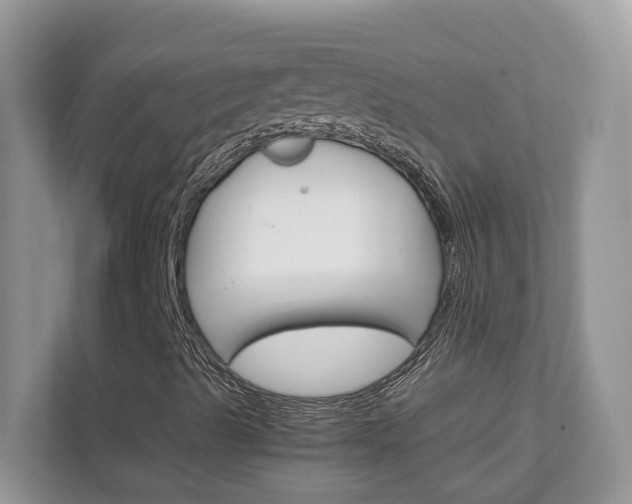 X0000111681489200907171454