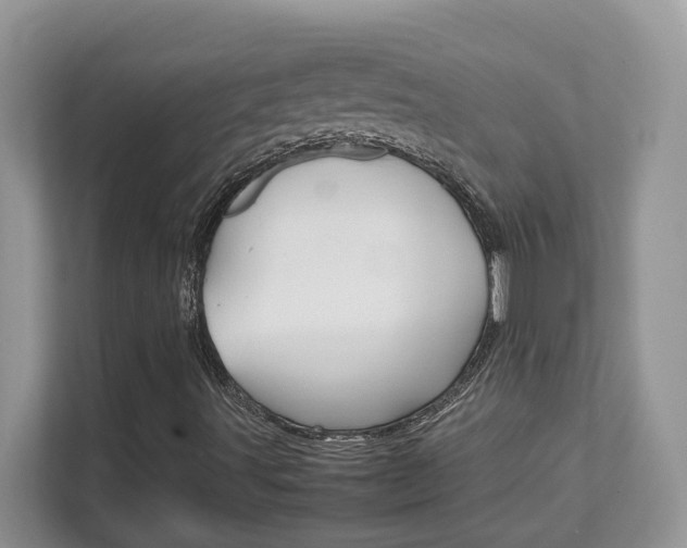 X0000111681491200907171454
