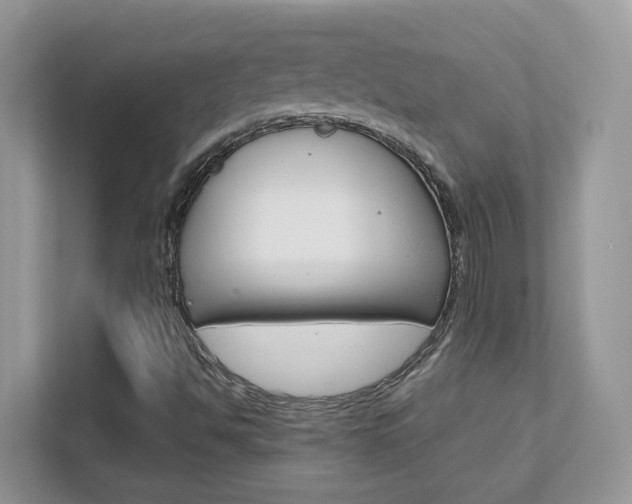 X0000111681494200907171454