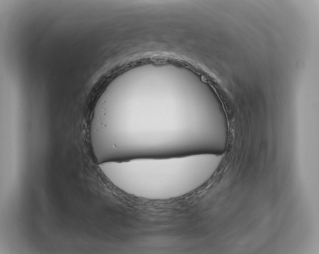 X0000111681495200907171454