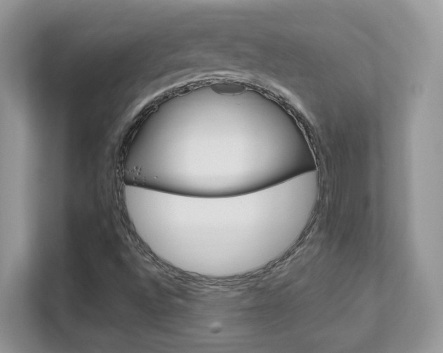 X0000111681496200907171454