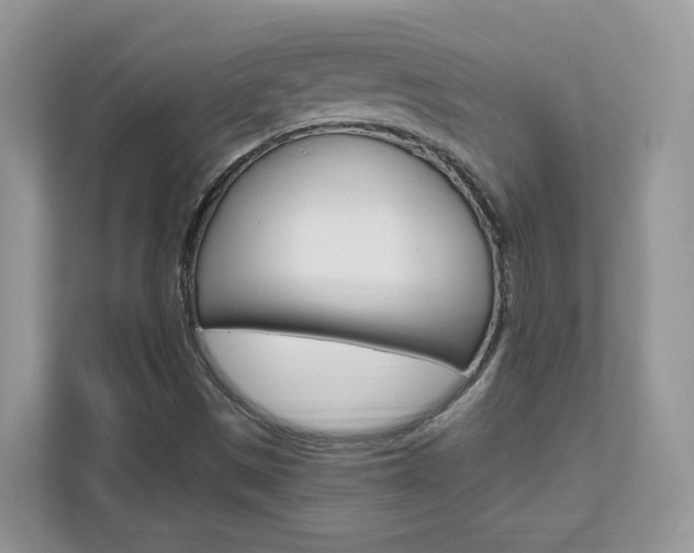 X0000111681497200907171454
