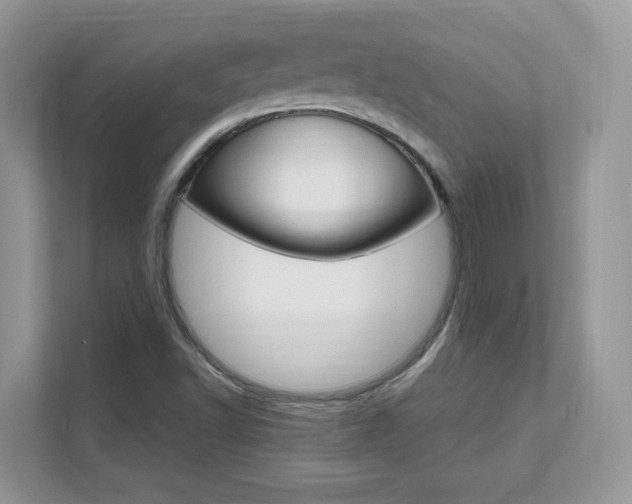 X0000111681502200907171454
