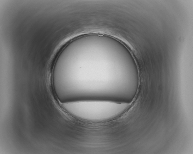 X0000111681507200907171454