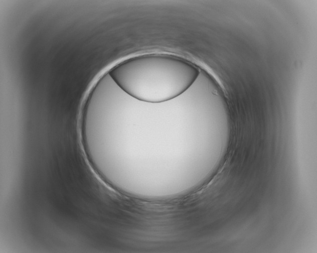X0000111681508200907171454