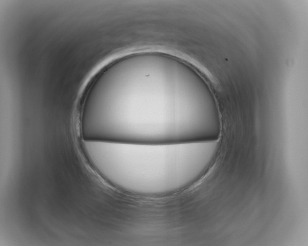 X0000111681510200907171454