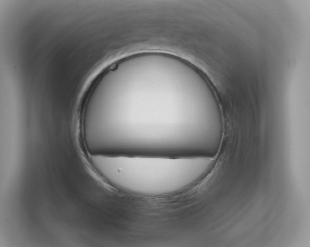 X0000111681511200907171454