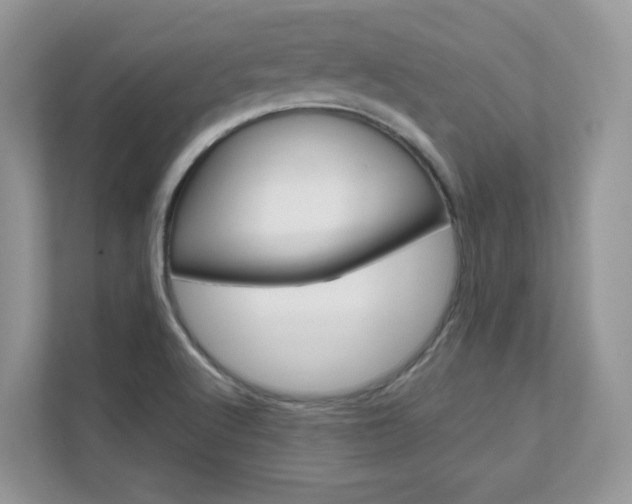 X0000111681512200907171454