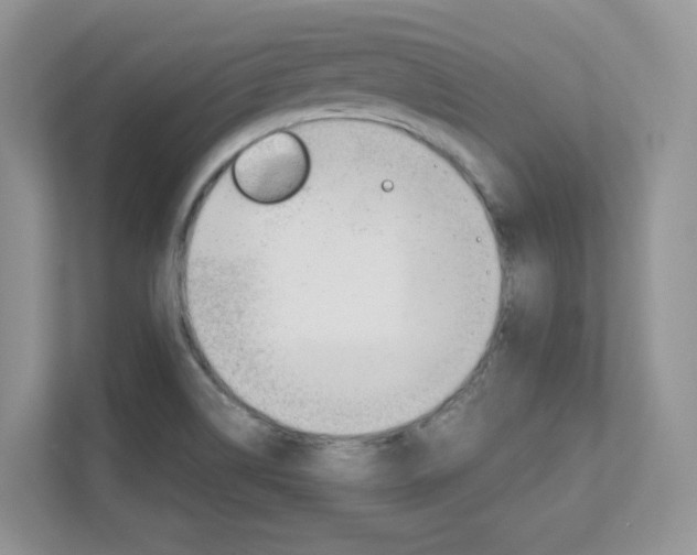 X0000111681514200907171454