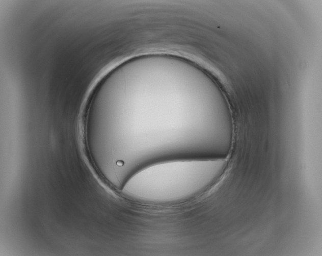 X0000111681517200907171454