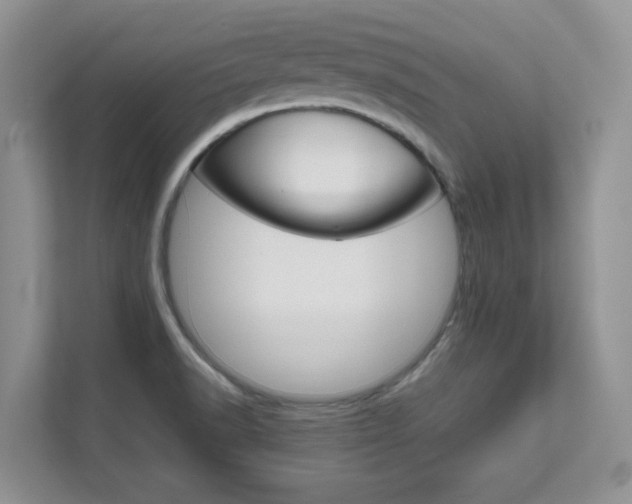 X0000111681518200907171454
