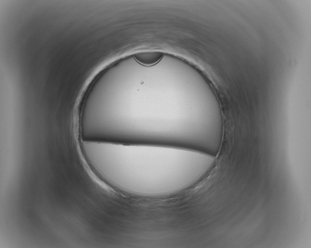 X0000111681519200907171454