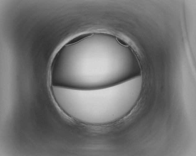 X0000111681520200907171454