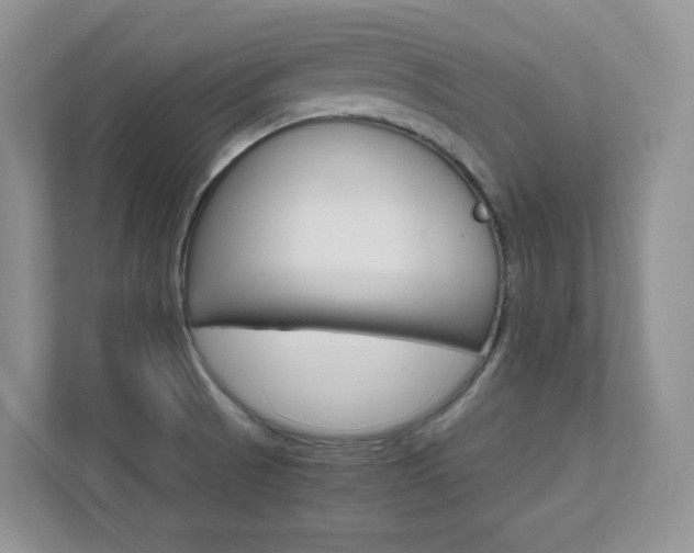 X0000111681521200907171454