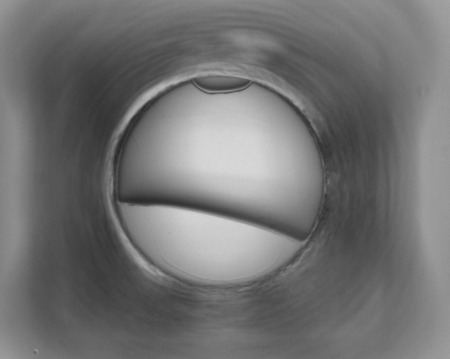 X0000111681523200907171454