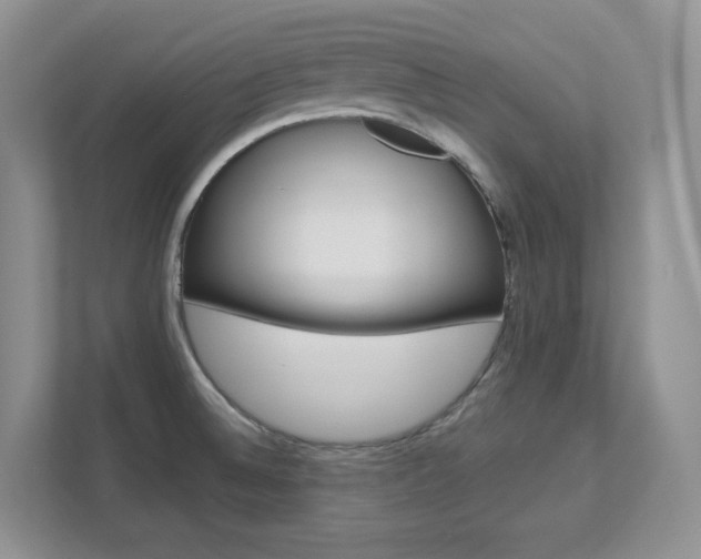 X0000111681524200907171454