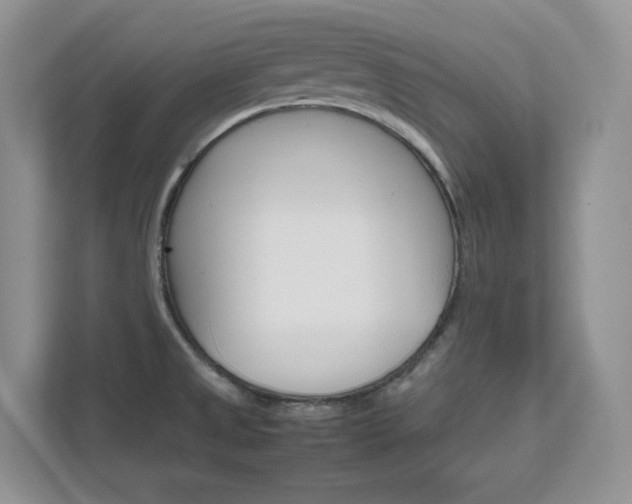 X0000111681525200907171454