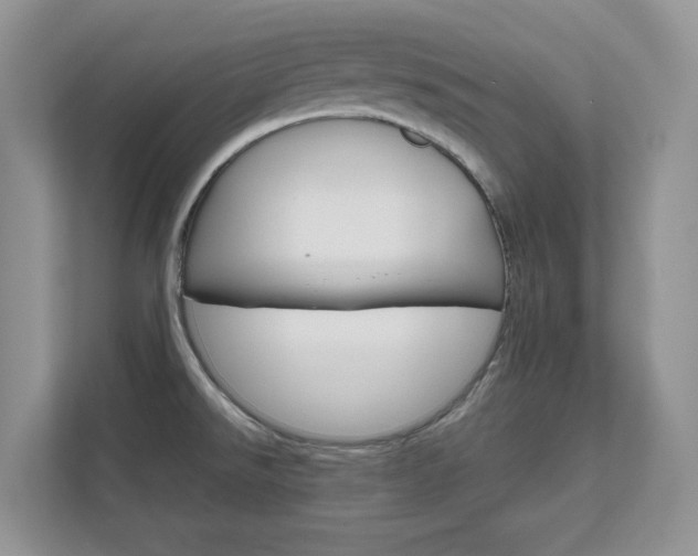 X0000111681526200907171454