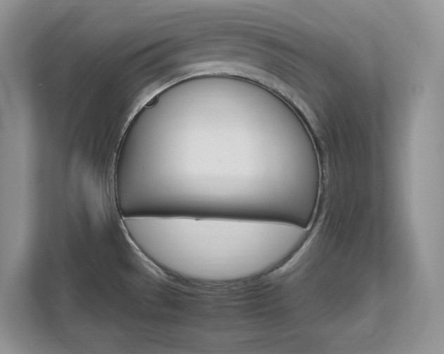 X0000111681529200907171454