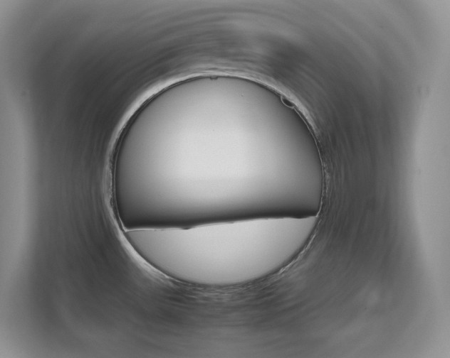 X0000111681531200907171454
