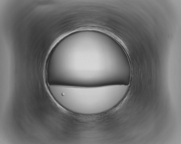 X0000111681533200907171454
