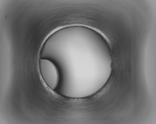 X0000111681534200907171454
