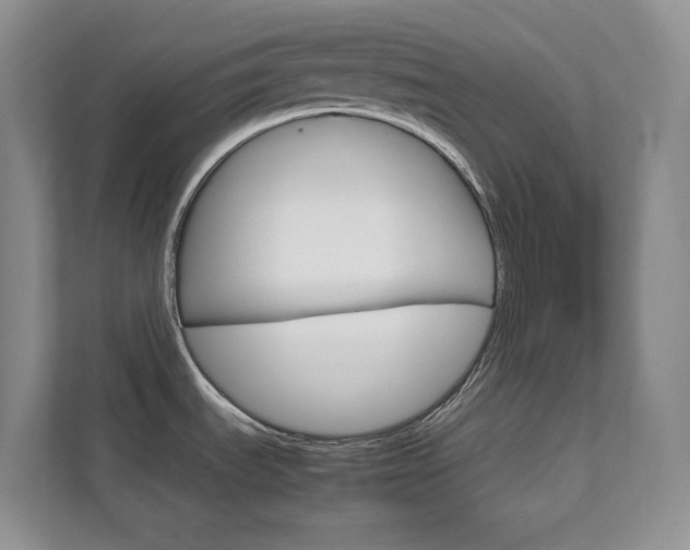 X0000111681535200907171454