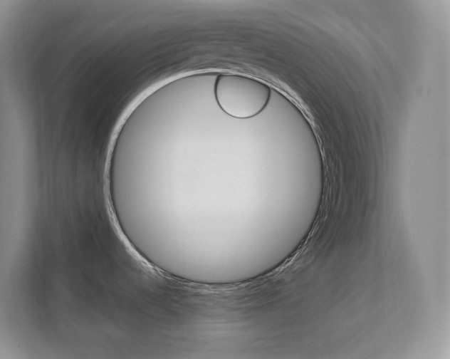 X0000111681536200907171454