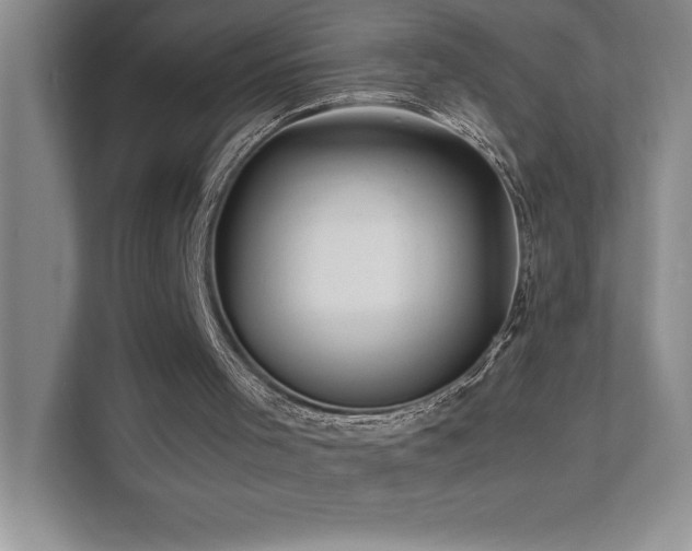 X0000111680001200907171643