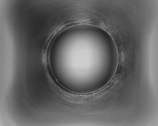 X0000111680002200907171643