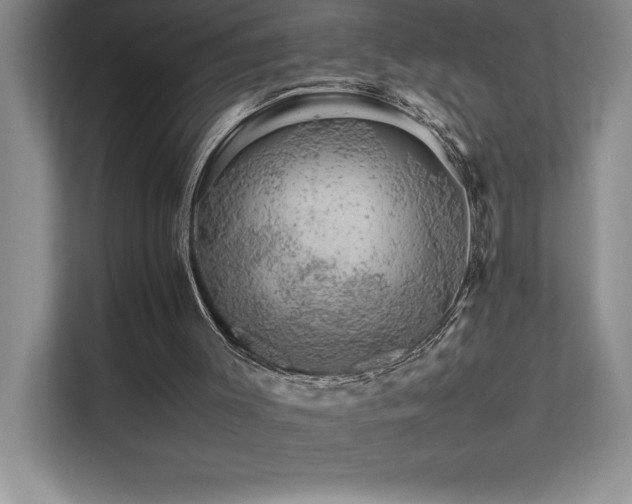 X0000111680003200907171643