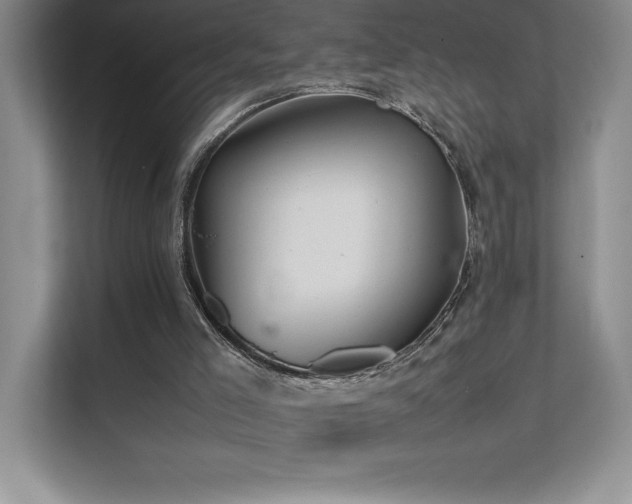 X0000111680005200907171643