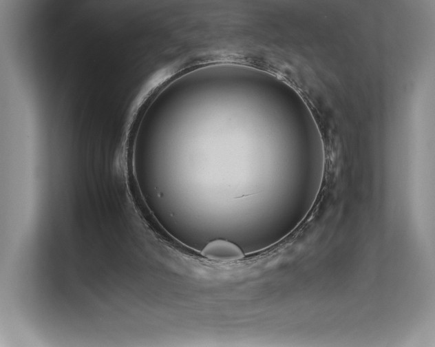 X0000111680006200907171643