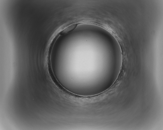 X0000111680007200907171643