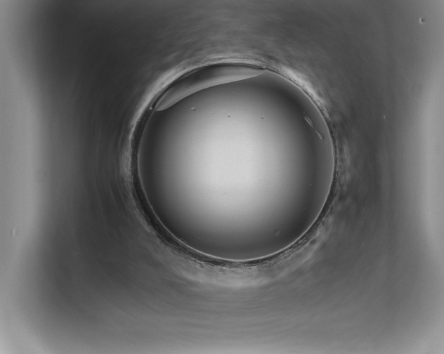 X0000111680008200907171643