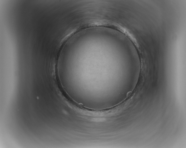 X0000111680010200907171643