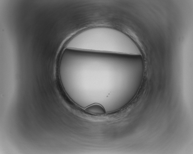 X0000111680012200907171643