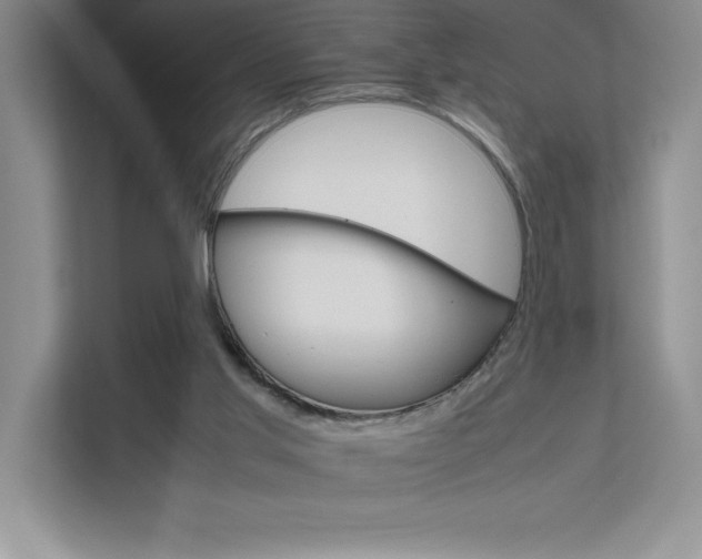 X0000111680013200907171643