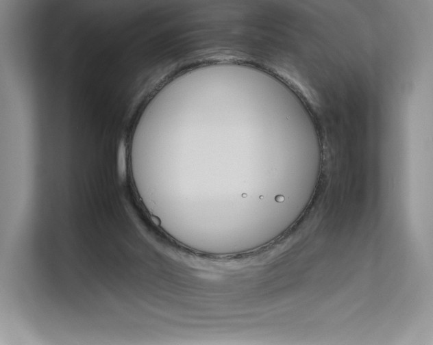 X0000111680014200907171643