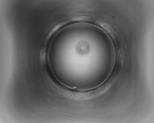 X0000111680016200907171643