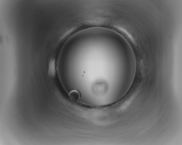 X0000111680020200907171643