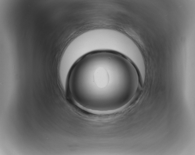 X0000111680021200907171643